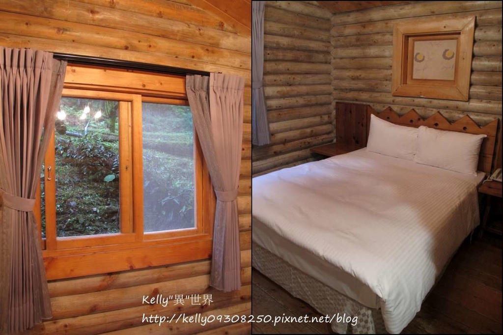 cats9876t5rew-1200.jpg cats9876t5rew-1200.jpg