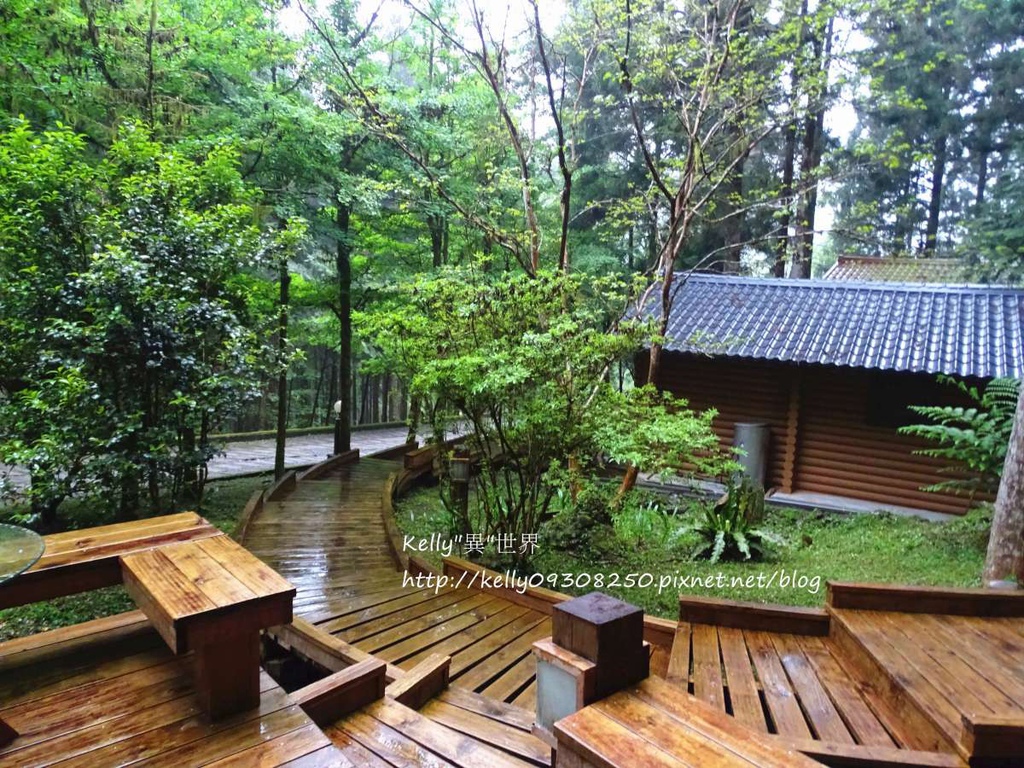 DSC04872-1200.jpg DSC04872-1200.jpg