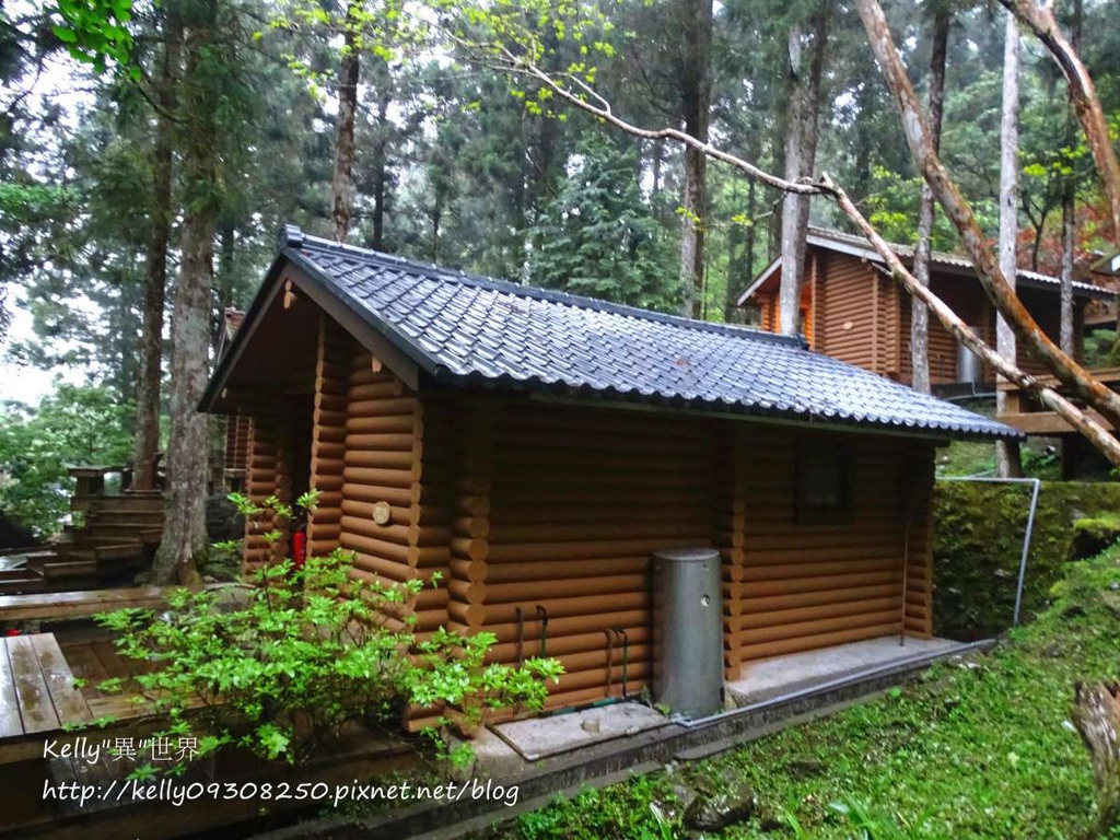 DSC04879-1200.jpg DSC04879-1200.jpg