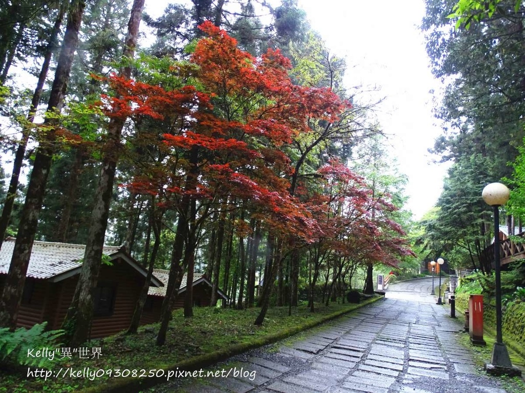 DSC05082-1200.jpg DSC05082-1200.jpg