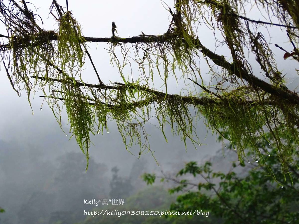 DSC04908-1200.jpg DSC04908-1200.jpg