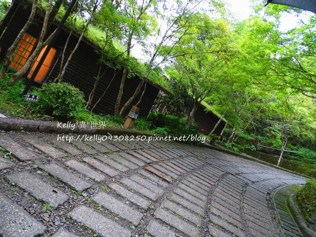 DSC05085-1200.jpg DSC05085-1200.jpg