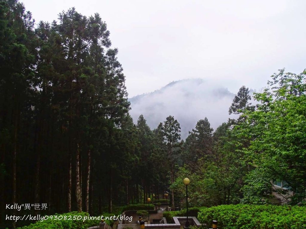 DSC04924-1200.jpg DSC04924-1200.jpg