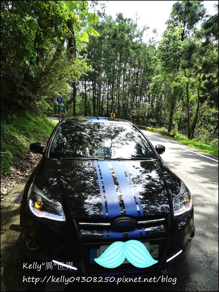 DSC05228-1200.jpg DSC05228-1200.jpg