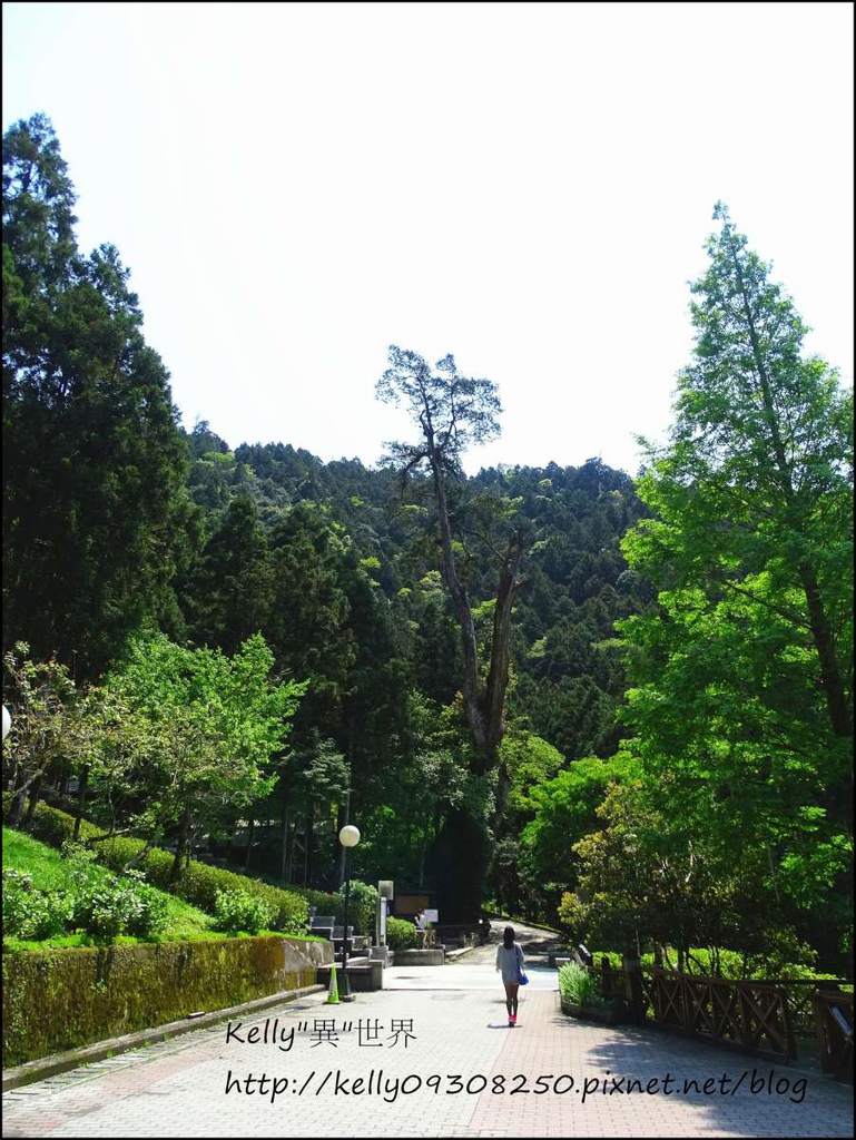 DSC05177-1200.jpg DSC05177-1200.jpg