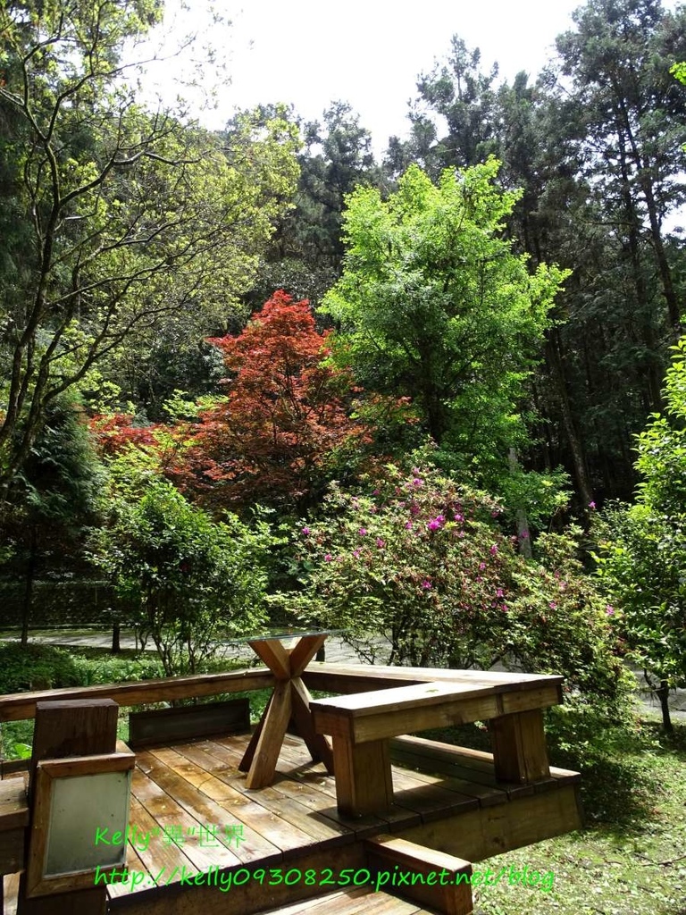 DSC05075-1200.jpg DSC05075-1200.jpg