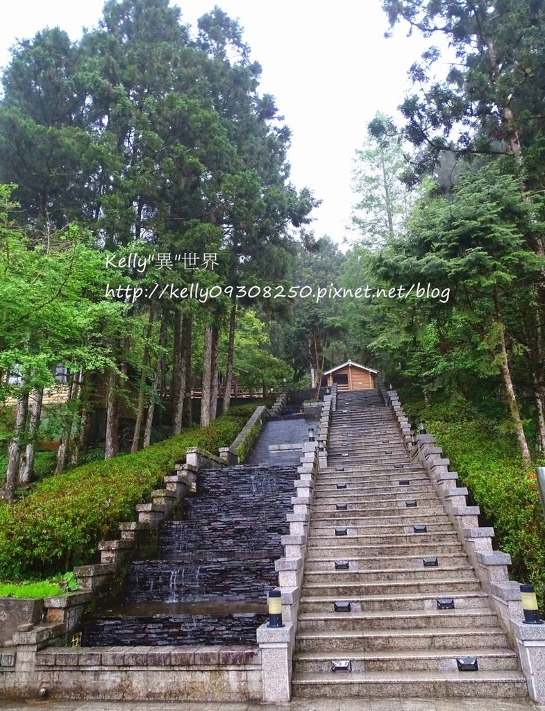 DSC04920-1200.jpg DSC04920-1200.jpg