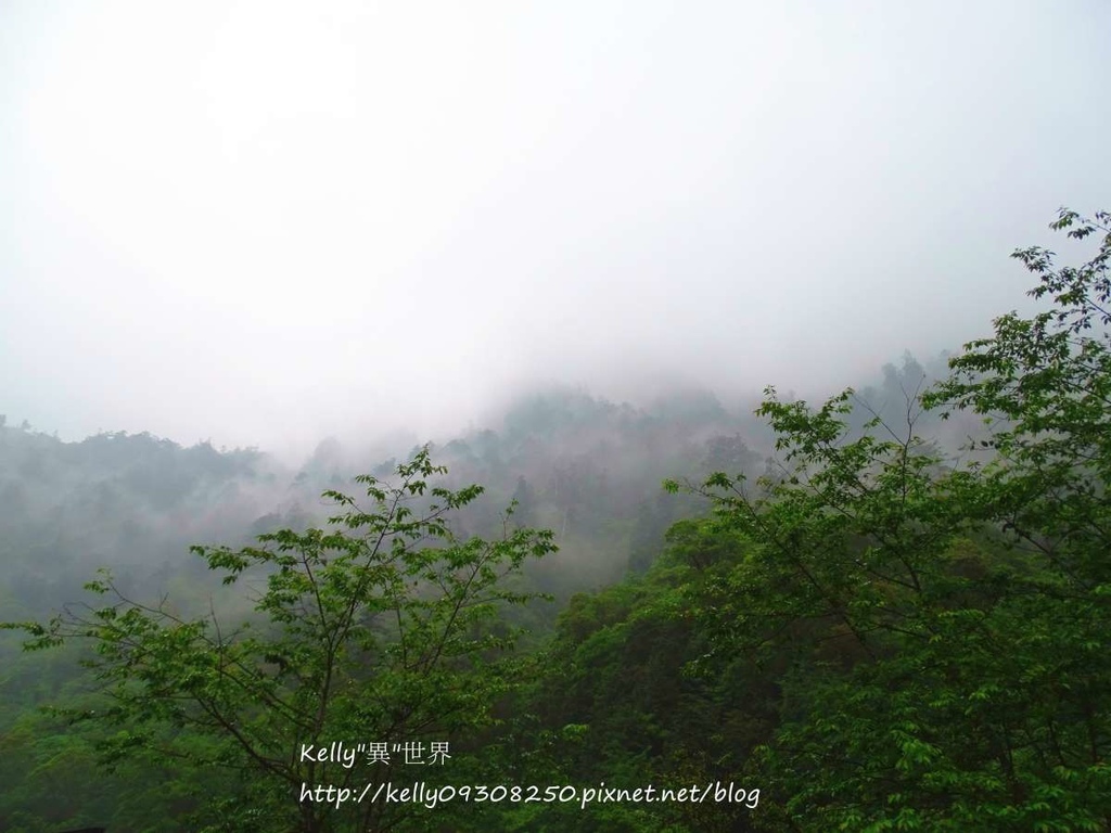 DSC04907-1200.jpg DSC04907-1200.jpg