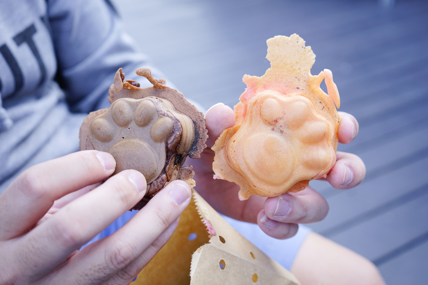 台南｜柯吉bar鮮奶手作雞蛋糕 可愛狗骨頭&喵掌造型雞蛋糕．季節限定草莓朱古力奶油雞蛋糕 - 奇奇一起玩樂趣