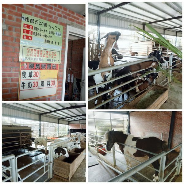 乳牛的家3.jpg