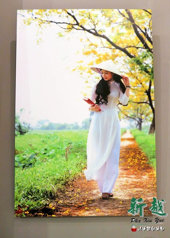 【捷運後山埤站|五分埔】新越越南麵食館~平價好吃的越南美食