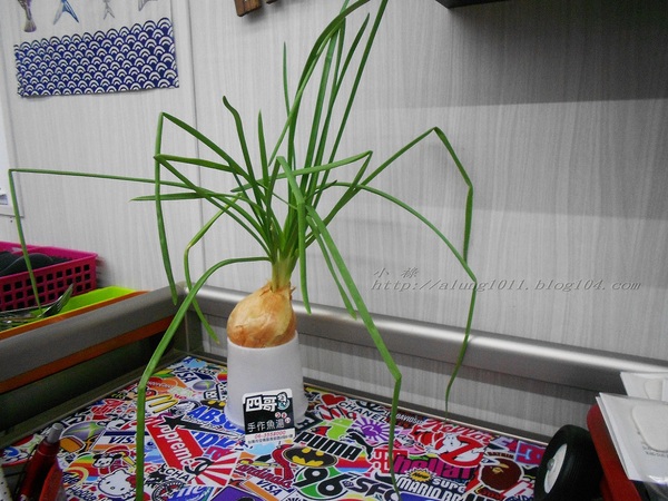 四哥鮮魚湯  ..消費滿百虱目魚頭無限嗑 )))))