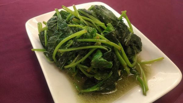 全家福_180219_0004