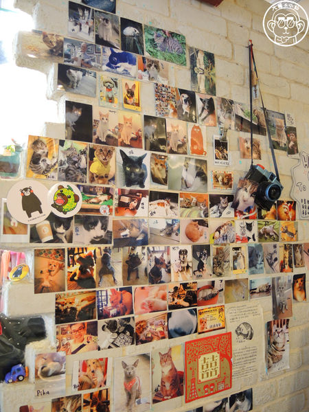 貓圖咖啡 CAT. jpg cafe:呷飽祙【台北大安・貓圖咖啡】親近人的店貓和好吃輕食 貓圖咖啡 CAT. jpg cafe:呷飽祙【台北大安・貓圖咖啡】親近人的店貓和好吃輕食