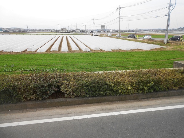 停車借問     -不空手的水果野菜市場．河野果実センター