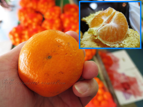 停車借問     -不空手的水果野菜市場．河野果実センター