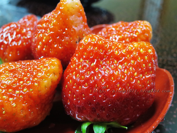 停車借問     -不空手的水果野菜市場．河野果実センター