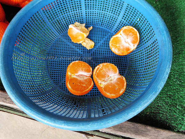 停車借問     -不空手的水果野菜市場．河野果実センター