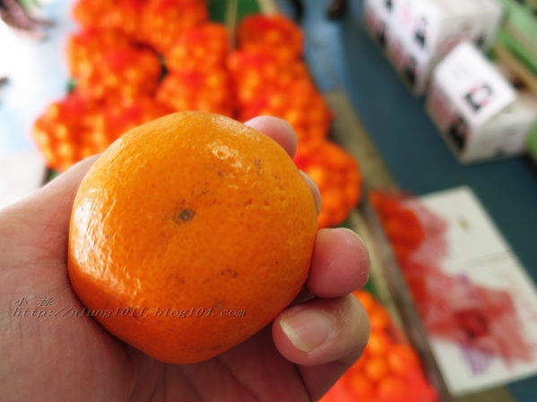 停車借問     -不空手的水果野菜市場．河野果実センター