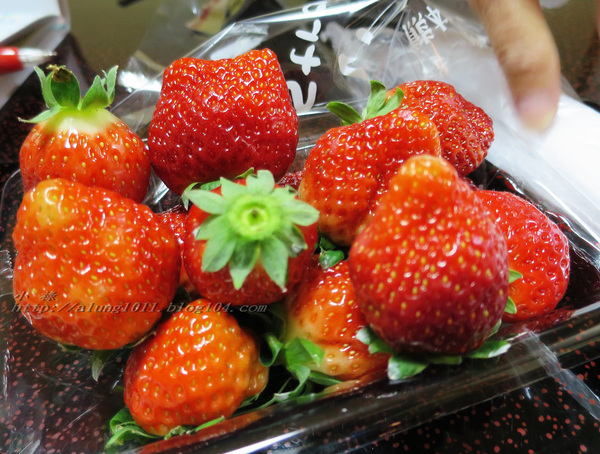 停車借問     -不空手的水果野菜市場．河野果実センター