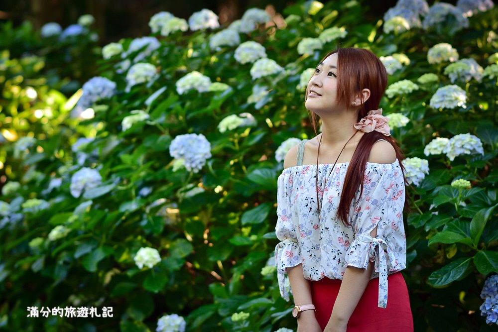 苗栗南庄景點》2017高山青養鱒鱘魚場繡球花開 季節限定迷人的繡球森林步道 - 滿分的旅遊札記