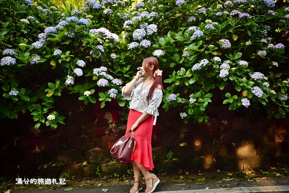 苗栗南庄景點》2017高山青養鱒鱘魚場繡球花開 季節限定迷人的繡球森林步道 - 滿分的旅遊札記