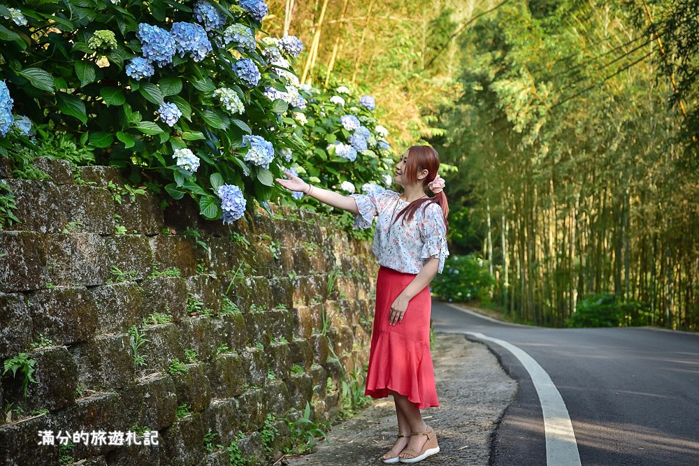 苗栗南庄景點》2017高山青養鱒鱘魚場繡球花開 季節限定迷人的繡球森林步道 - 滿分的旅遊札記