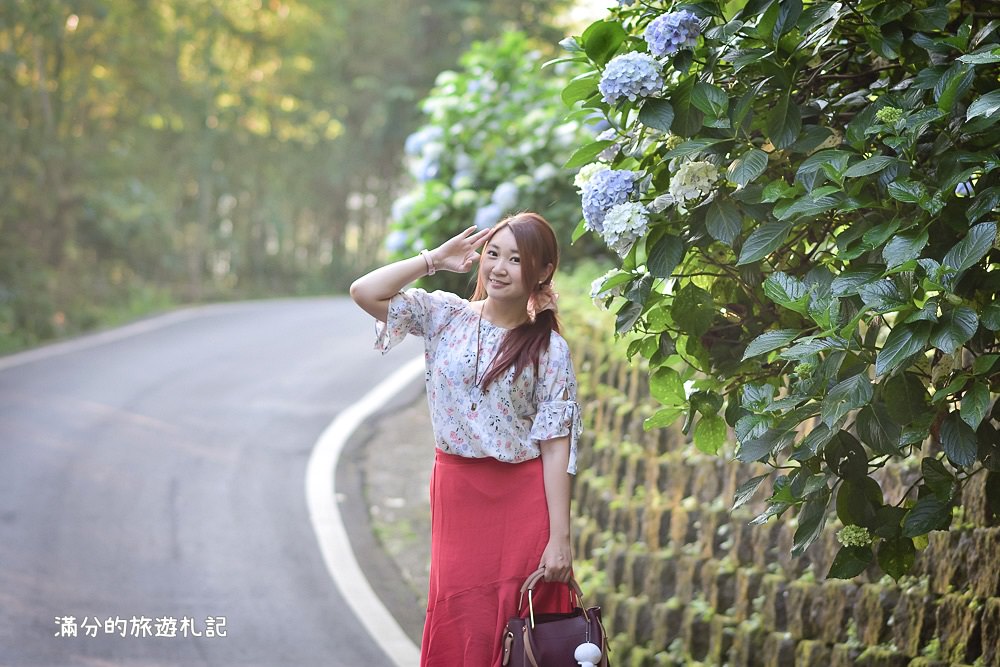 苗栗南庄景點》2017高山青養鱒鱘魚場繡球花開 季節限定迷人的繡球森林步道 - 滿分的旅遊札記