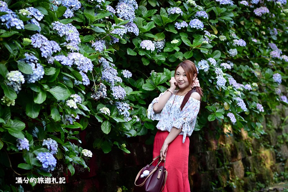 苗栗南庄景點》2017高山青養鱒鱘魚場繡球花開 季節限定迷人的繡球森林步道 - 滿分的旅遊札記