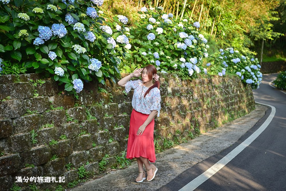 苗栗南庄景點》2017高山青養鱒鱘魚場繡球花開 季節限定迷人的繡球森林步道 - 滿分的旅遊札記