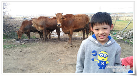 2017.03.05 林口水牛坑 (17).jpg 2017.03.05 林口水牛坑 (17).jpg