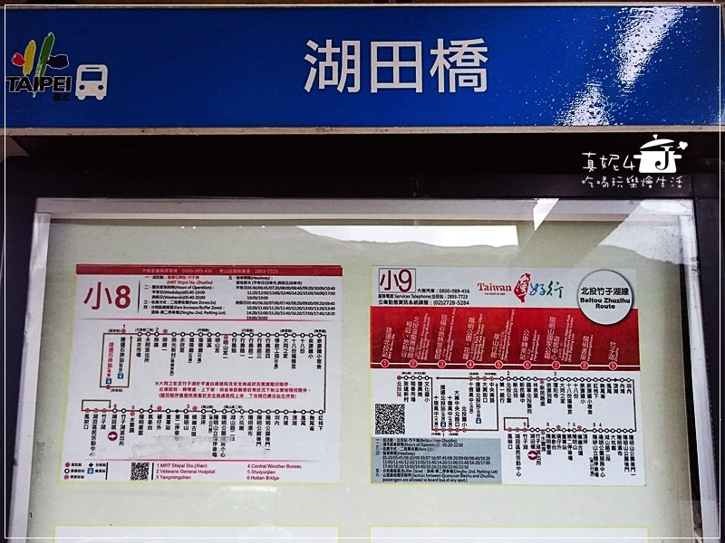 陽明山 福田橋 繡球花