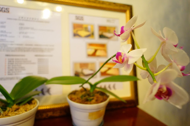 台東市 「半閒民宿」 - SGS認證民宿 撲鼻木頭香的健康木作民宿