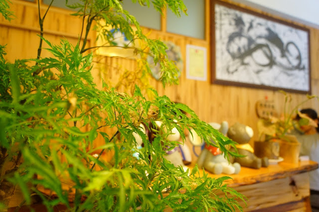 台東市 「半閒民宿」 - SGS認證民宿 撲鼻木頭香的健康木作民宿