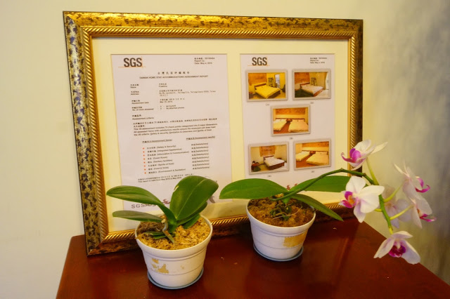 台東市 「半閒民宿」 - SGS認證民宿 撲鼻木頭香的健康木作民宿