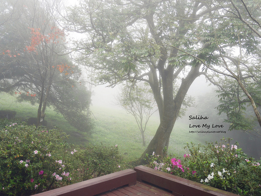 台北陽明山國家公園遊客服務中心伴手禮紀念品明信片娃娃玩偶推薦石尚自然探索屋 (5) 台北陽明山國家公園遊客服務中心伴手禮紀念品明信片娃娃玩偶推薦石尚自然探索屋 (5)