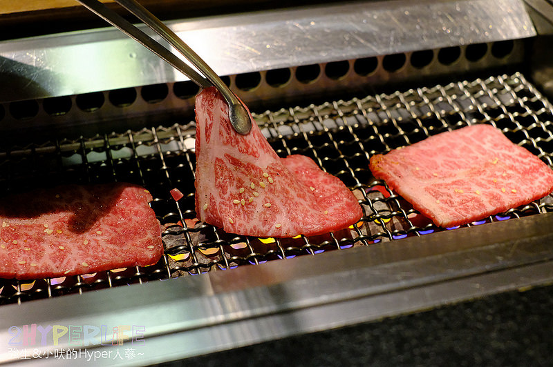 @強生與小吠的Hyper人蔘~