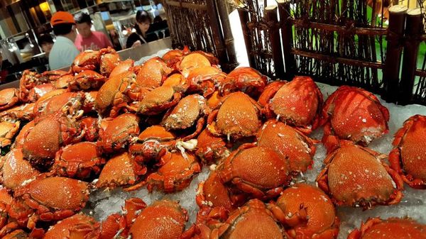 ▌典華 • 豐Food 海陸百匯 ▌薇拉小公主吃完舔嘴唇再次推薦 • 超過200道菜, 還有排行榜冠軍8菜必吃, 吃一餐可以抵3餐的吃到飽料理 ...