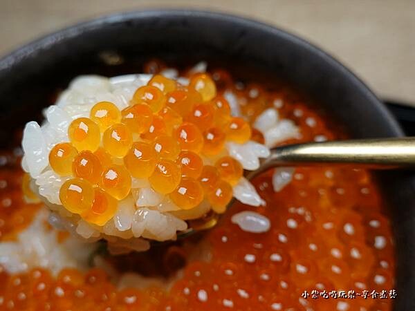 鮭魚卵丼飯-紅巢燒肉工房 (2).jpg