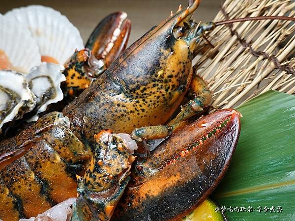 活波士頓龍蝦-紅巢燒肉工房  (2).jpg