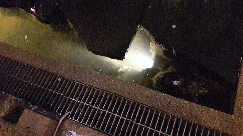 20160907_182855.jpg 20160907_182855.jpg