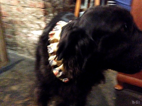 【高雄美食】黑狗食堂∞真的有黑狗的道地新加坡美食