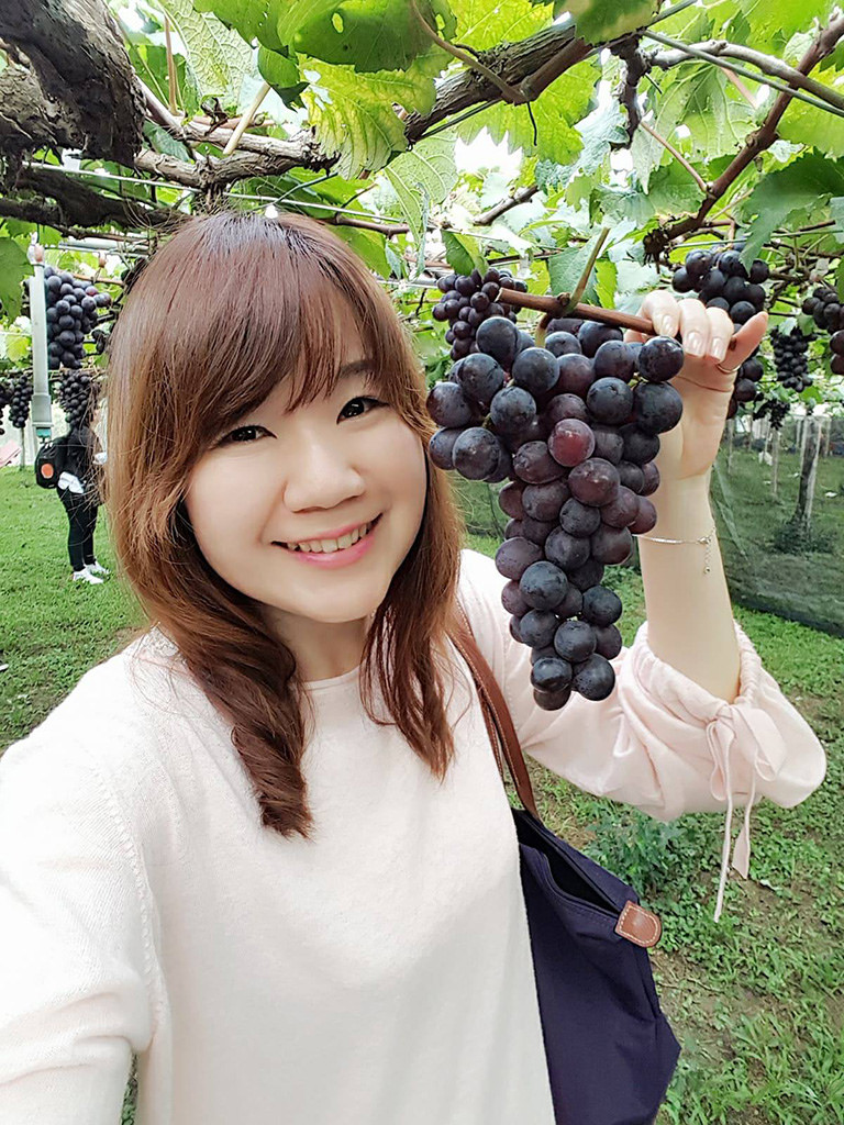 24167588_1766096413400997_318091180_o