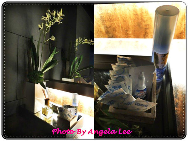 廁所擺設 廁所擺設