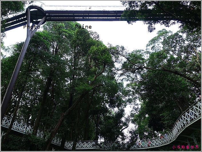 嘉義竹崎公園 (26).JPG