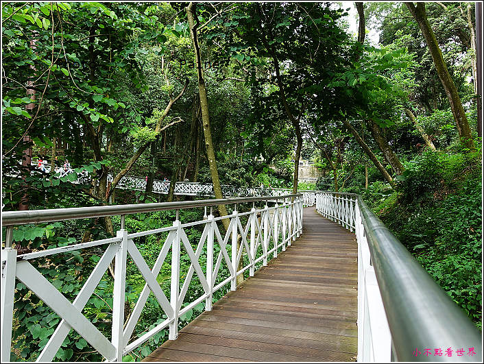 嘉義竹崎公園 (11).JPG