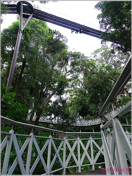 嘉義竹崎公園 (28).JPG