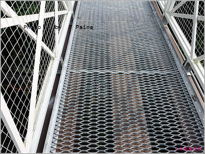 嘉義竹崎公園 (15).JPG