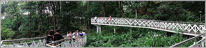 嘉義竹崎公園 (22).JPG