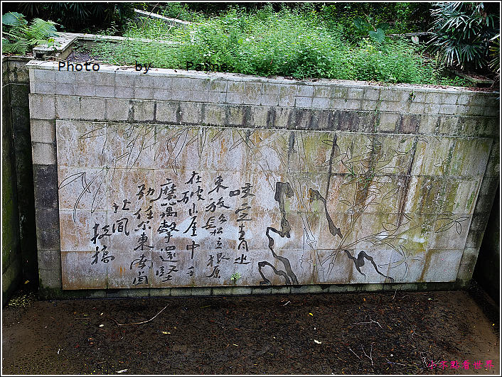 嘉義竹崎公園 (20).JPG